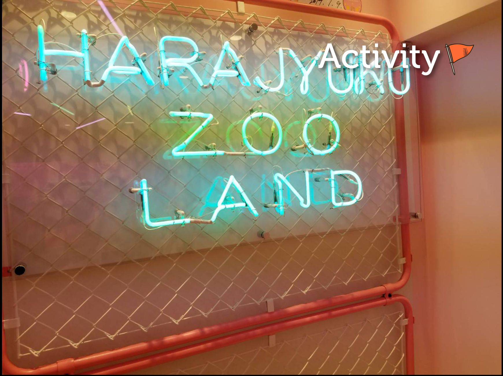 Lesson & Activity Bright Choice (ブライトチョイス)